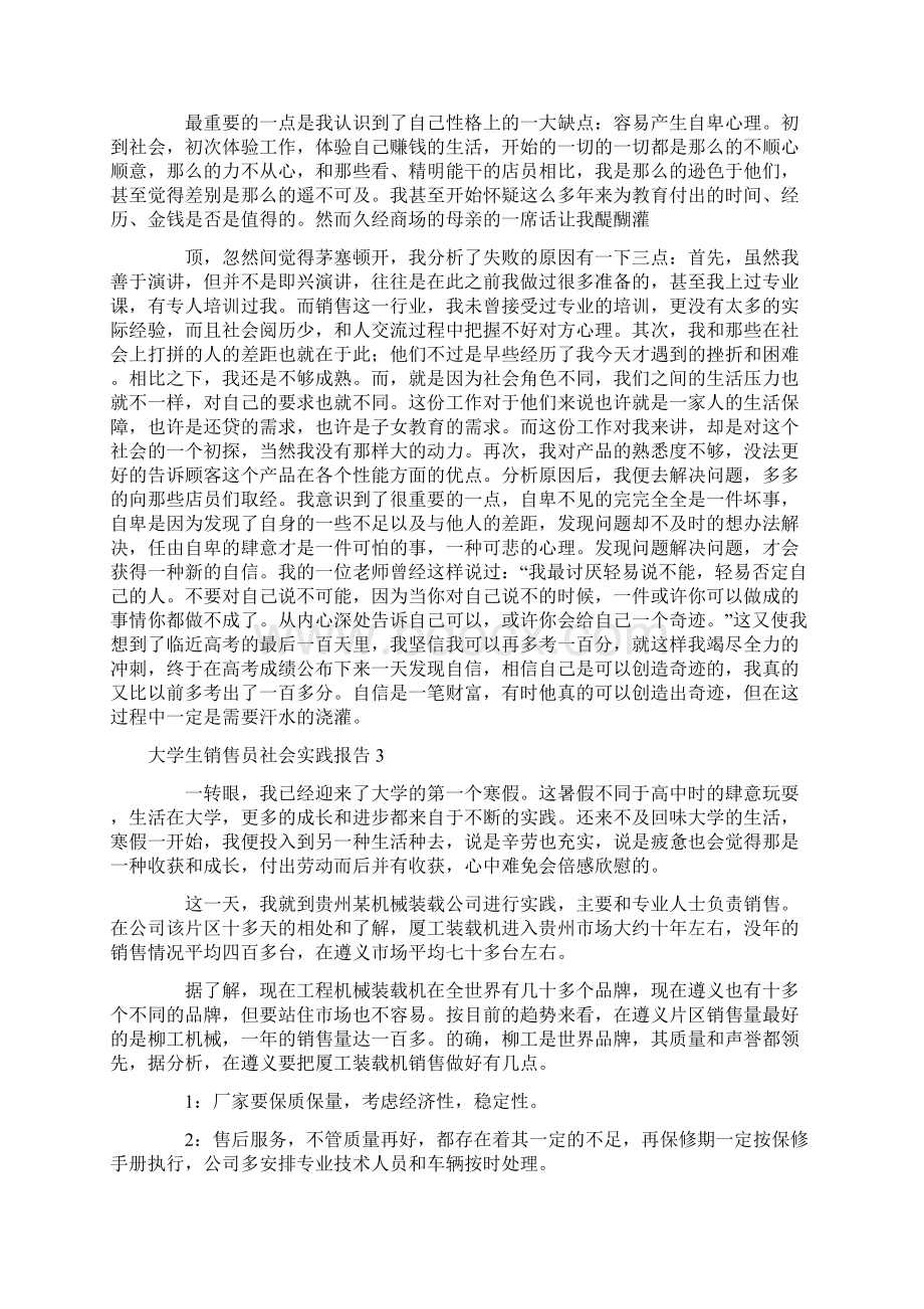 大学生销售员社会实践报告Word文档格式.docx_第3页