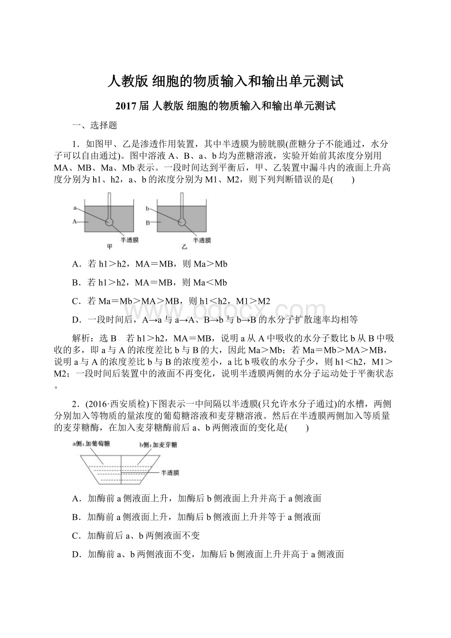 人教版细胞的物质输入和输出单元测试Word格式.docx_第1页