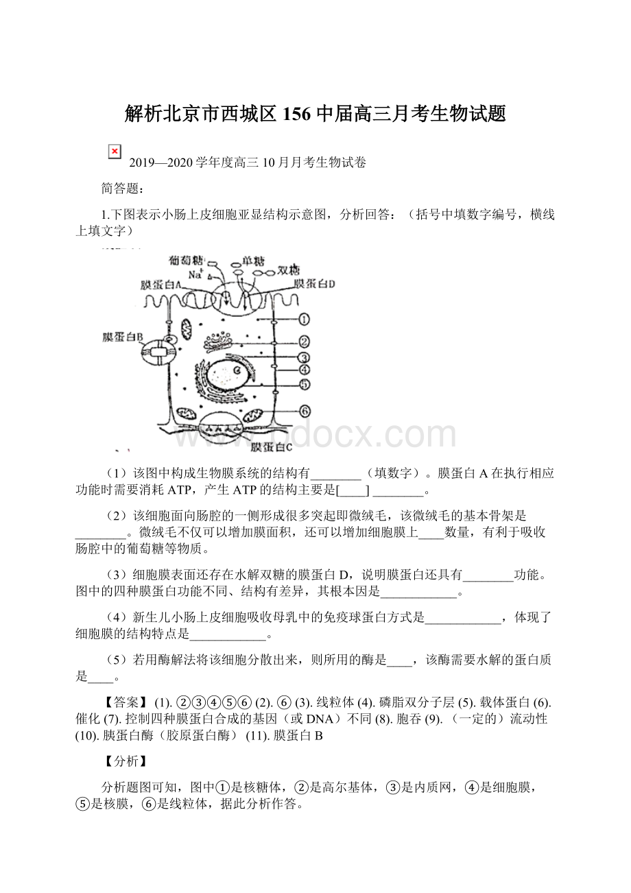 解析北京市西城区156中届高三月考生物试题.docx