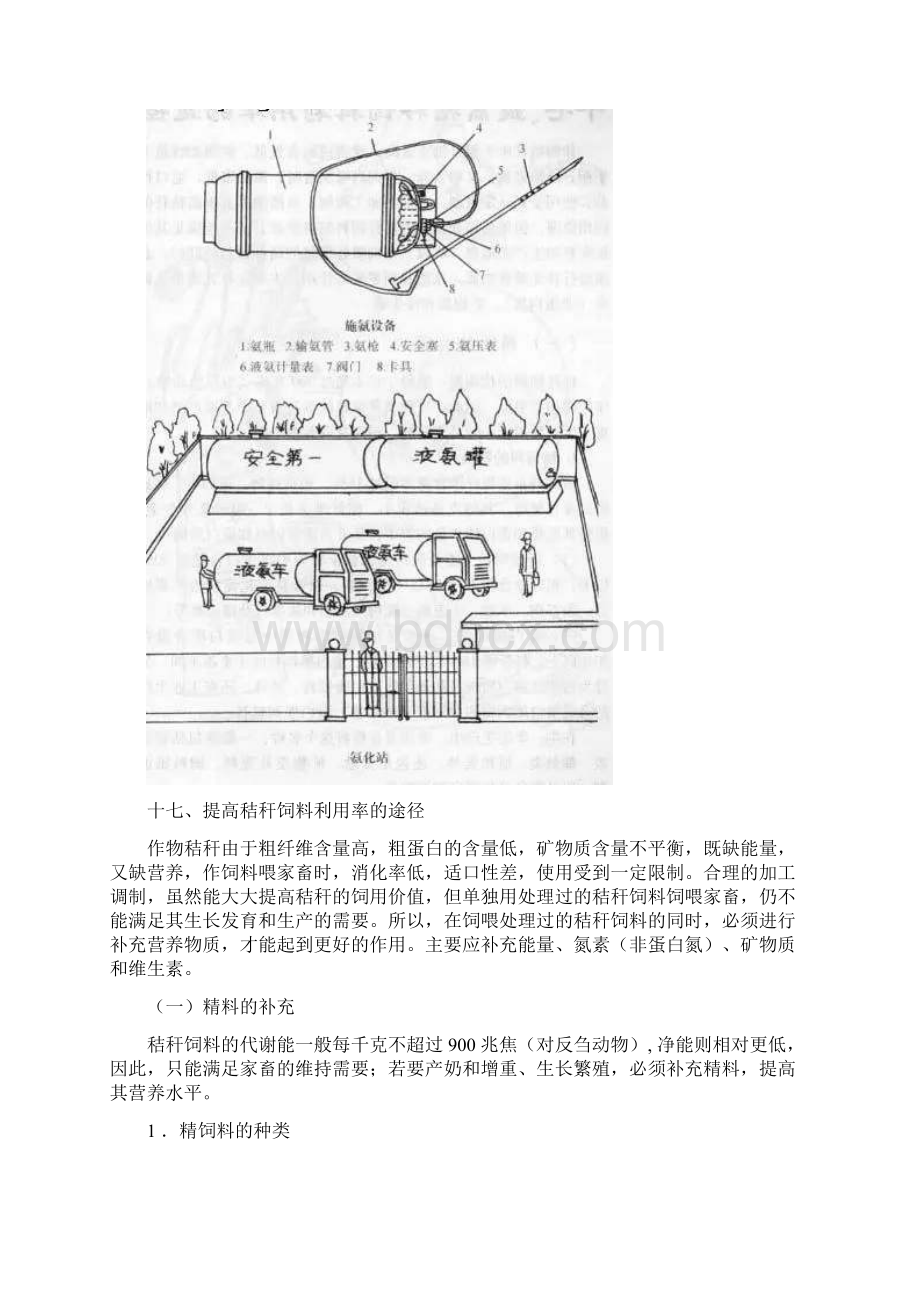 秸秆饲料的加工处理技术Word文件下载.docx_第2页