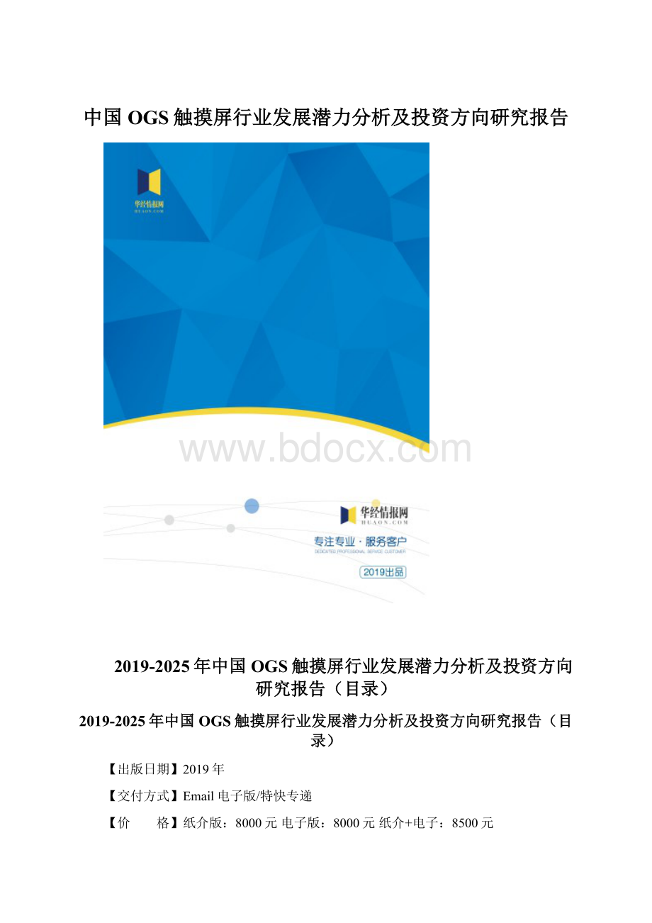 中国OGS触摸屏行业发展潜力分析及投资方向研究报告.docx