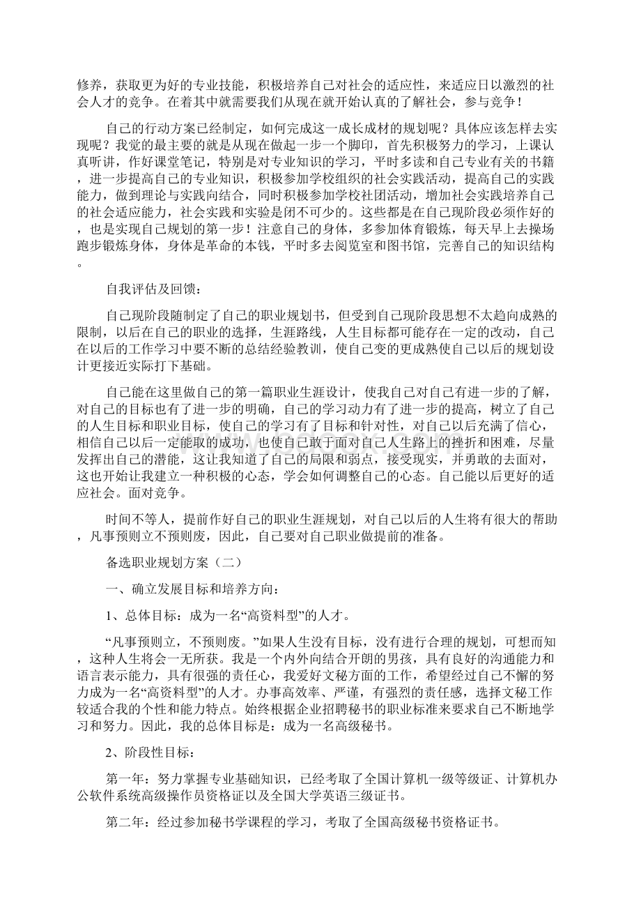 备选职业规划方案.docx_第2页