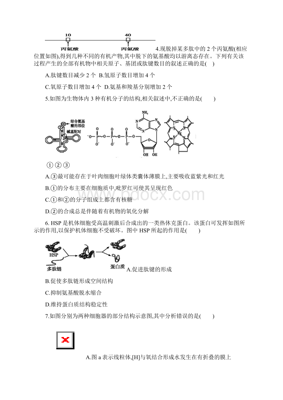 福建省福州市八县市协作校届高三上学期半期联考生物试题Word版含答案.docx_第2页