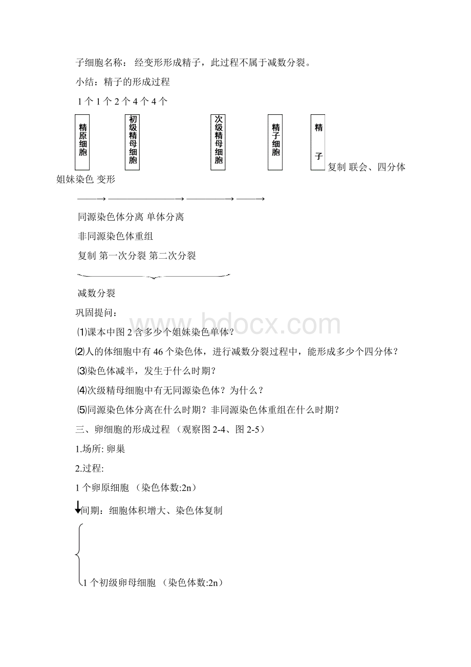 高中生物 《减数分裂和受精作用》教案3 新人教版必修2.docx_第3页