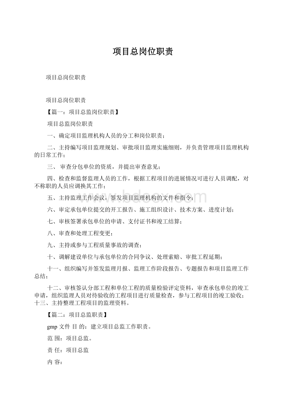 项目总岗位职责Word下载.docx