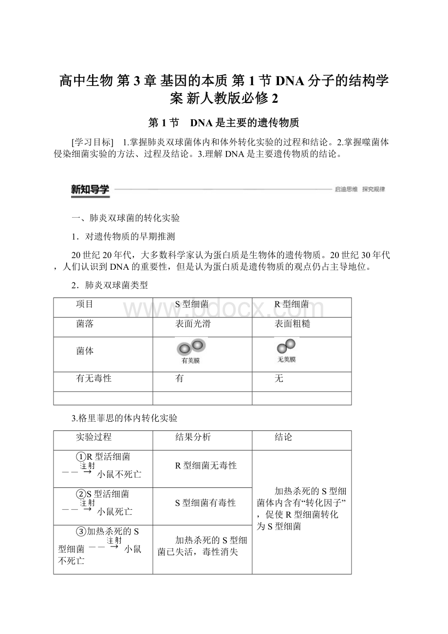 高中生物 第3章 基因的本质 第1节 DNA分子的结构学案 新人教版必修2Word格式文档下载.docx_第1页