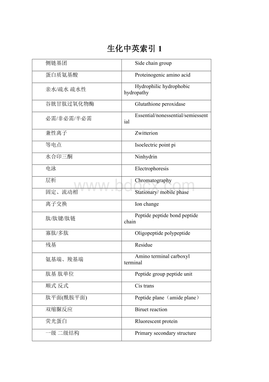 生化中英索引1文档格式.docx