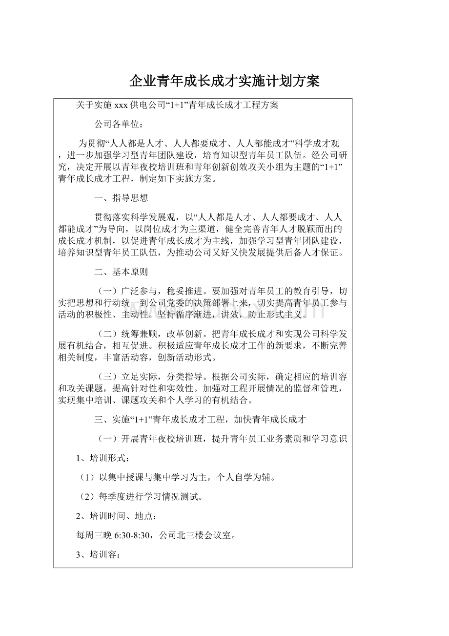 企业青年成长成才实施计划方案Word格式文档下载.docx