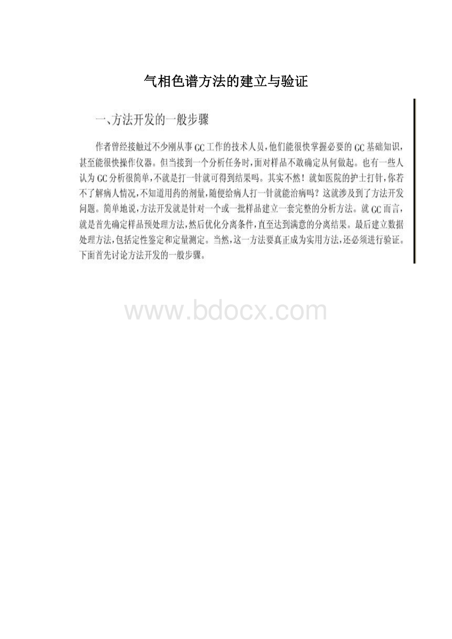 气相色谱方法的建立与验证.docx