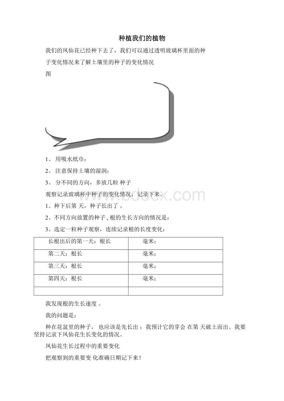 凤仙花记录.docx_第2页