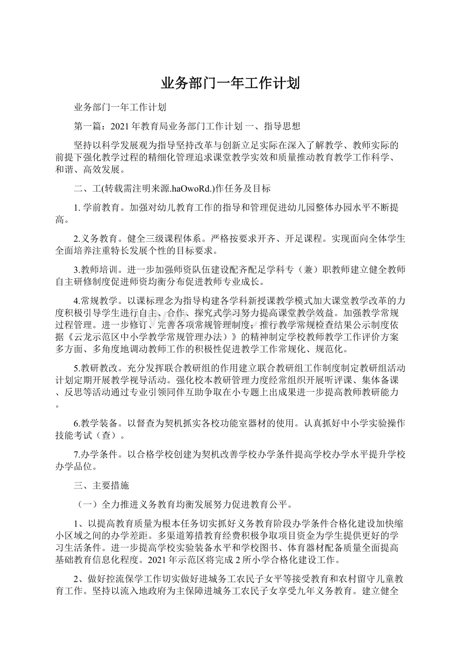 业务部门一年工作计划.docx_第1页