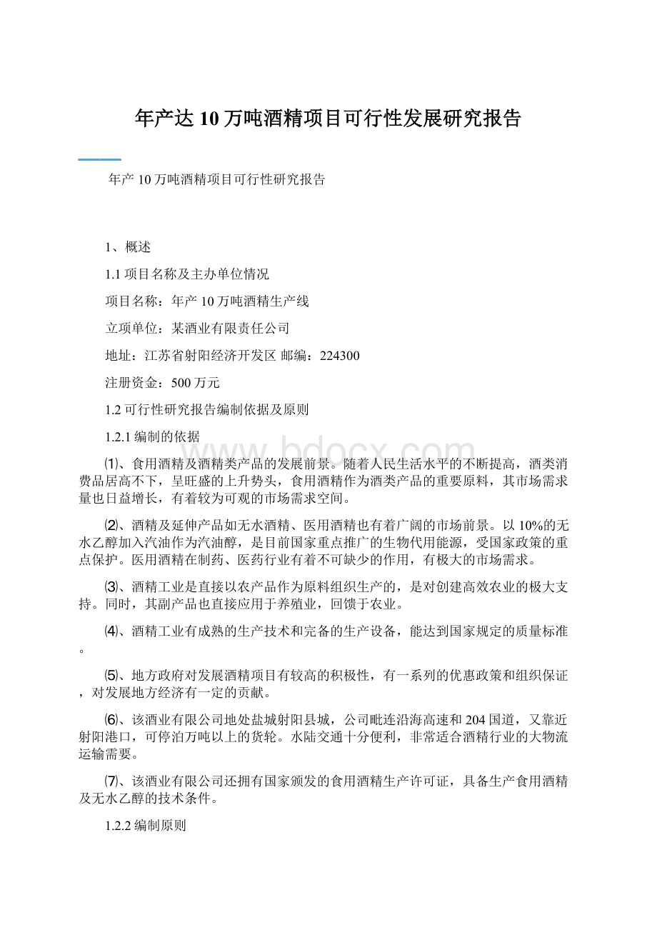 年产达10万吨酒精项目可行性发展研究报告.docx