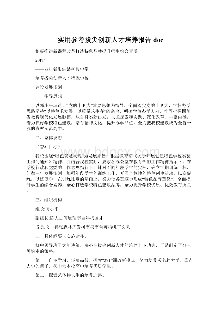 实用参考拔尖创新人才培养报告doc.docx_第1页