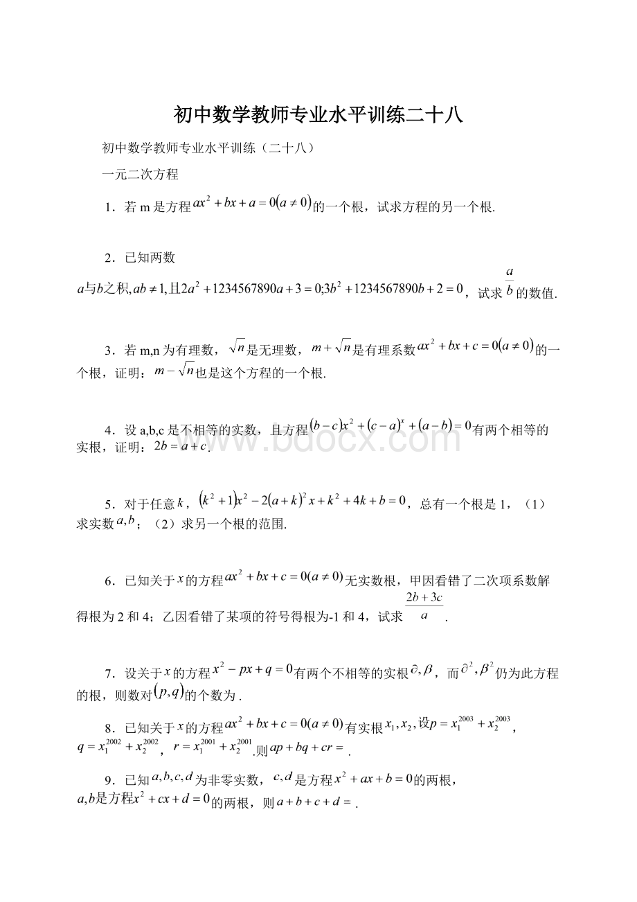 初中数学教师专业水平训练二十八Word格式.docx