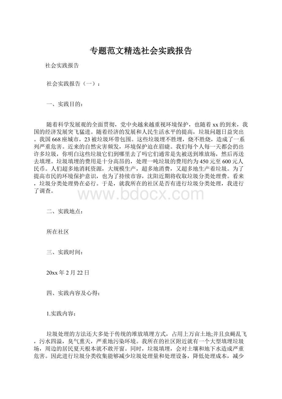 专题范文精选社会实践报告.docx