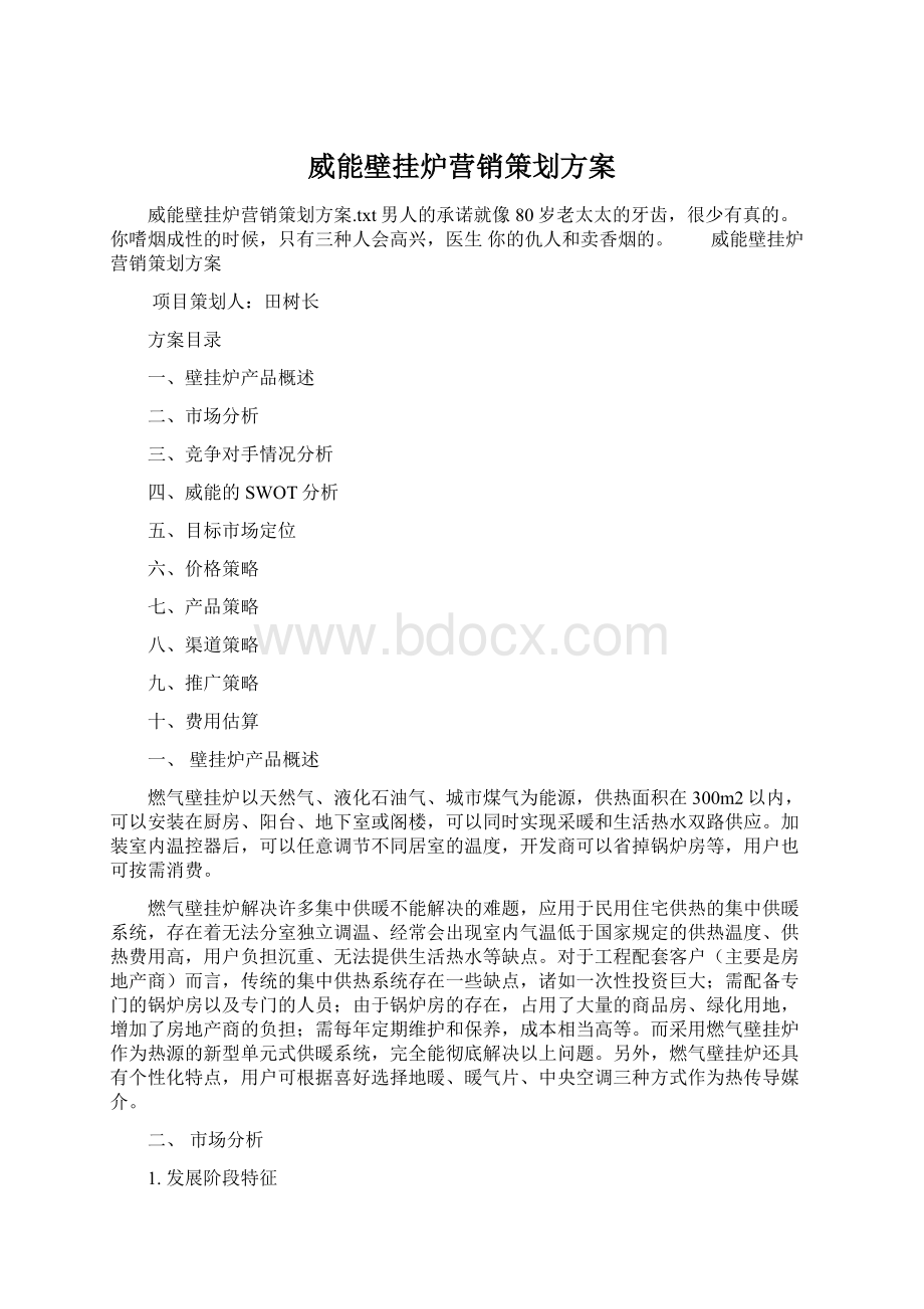 威能壁挂炉营销策划方案.docx_第1页