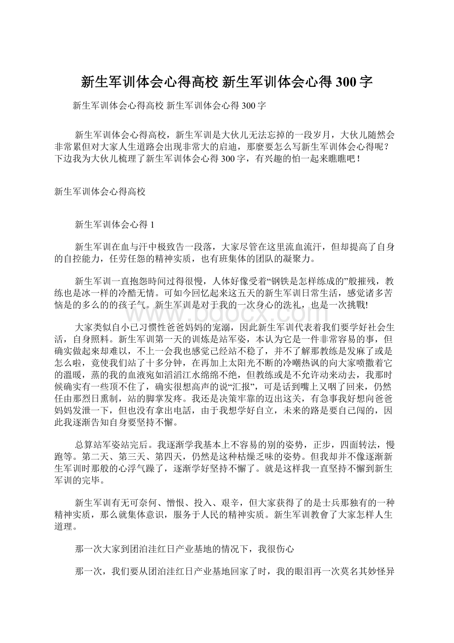 新生军训体会心得高校 新生军训体会心得300字.docx_第1页