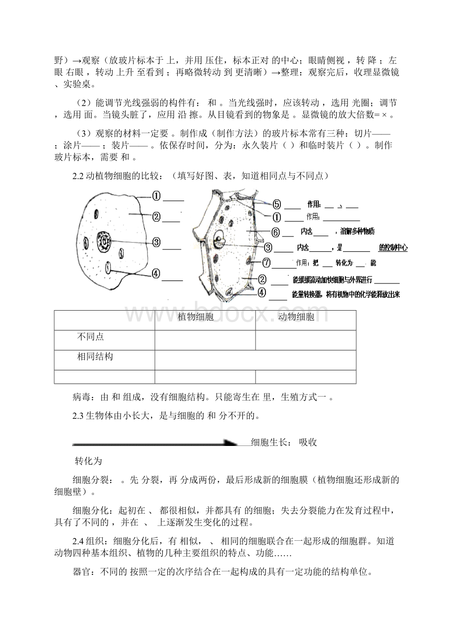 初中生物中考总复习重要知识点图表等人教版.docx_第3页