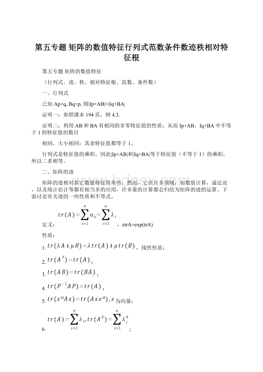 第五专题 矩阵的数值特征行列式范数条件数迹秩相对特征根Word文档格式.docx_第1页