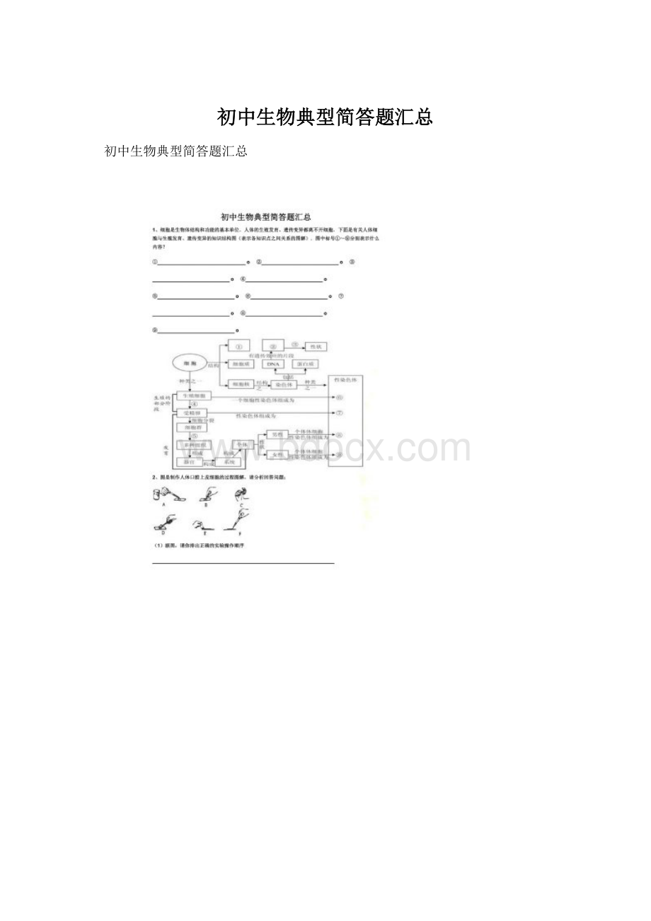 初中生物典型简答题汇总Word文档格式.docx_第1页