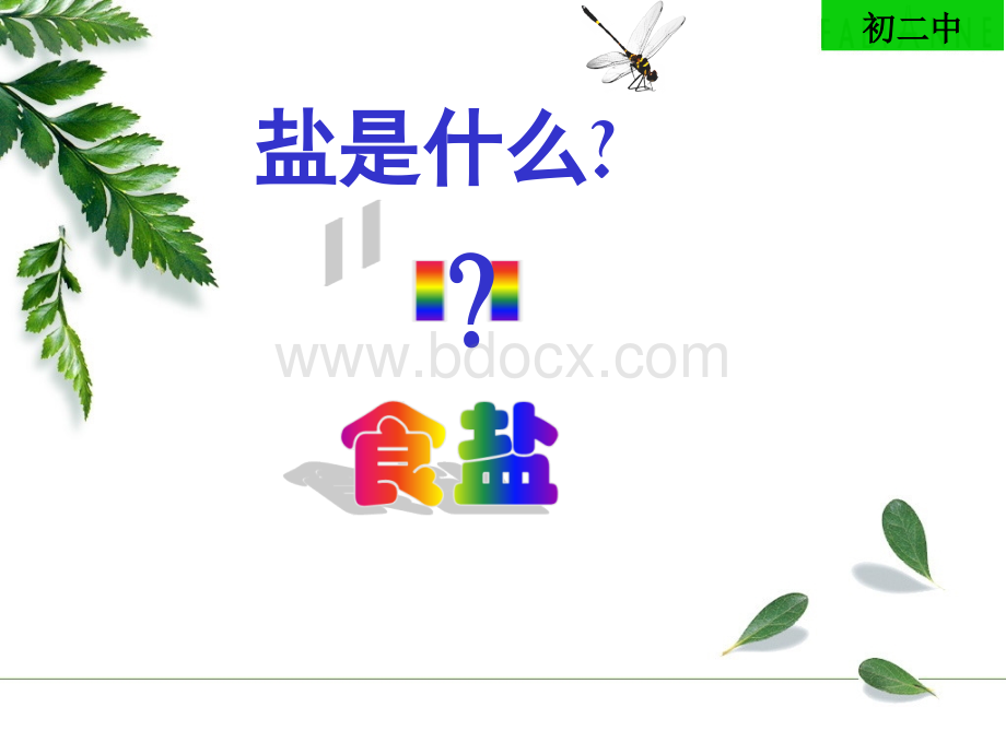 生活中常见的盐.ppt_第2页