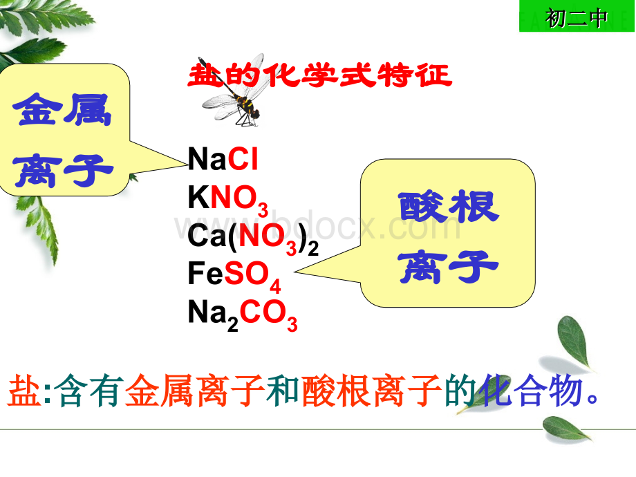 生活中常见的盐.ppt_第3页