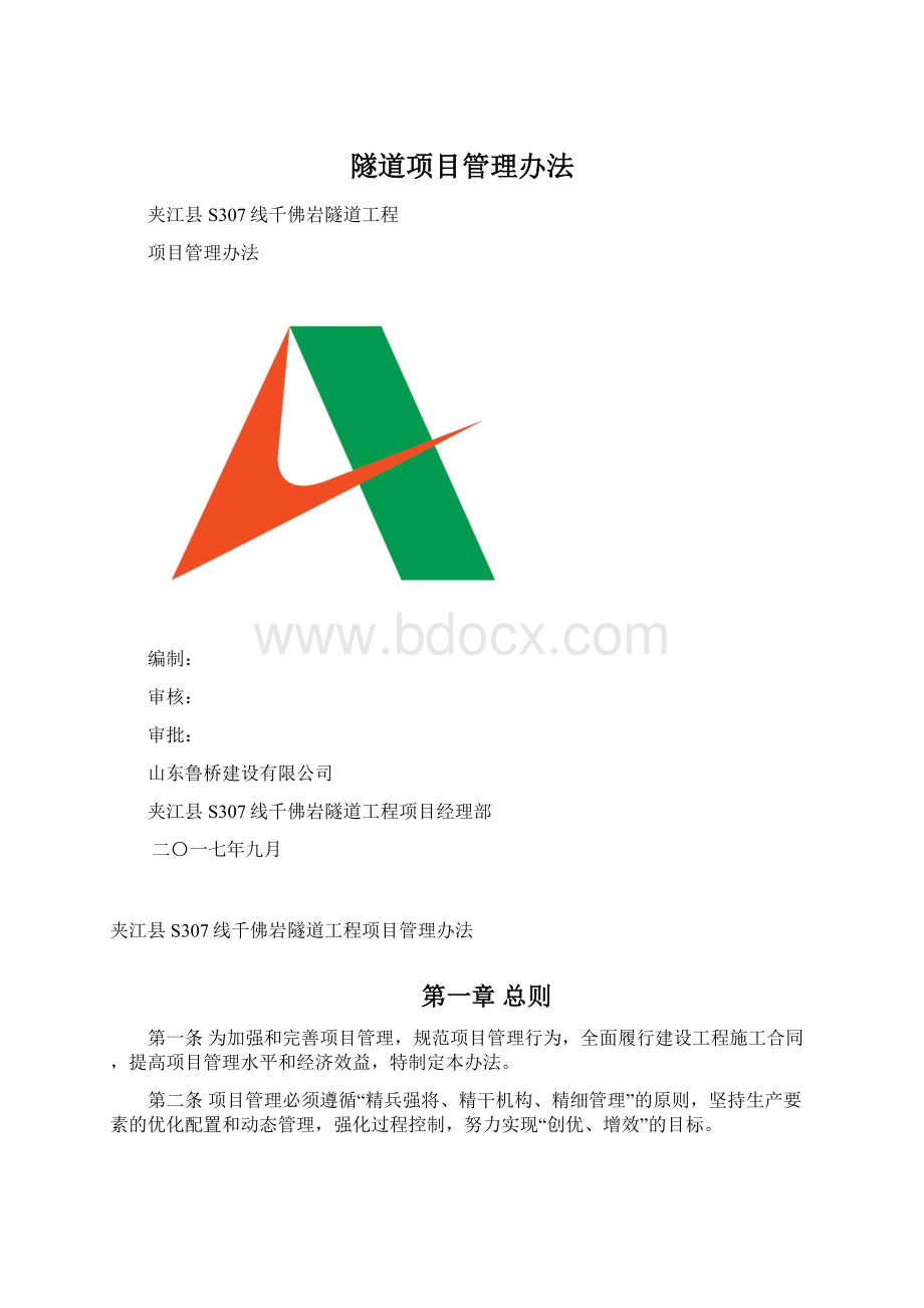 隧道项目管理办法.docx_第1页