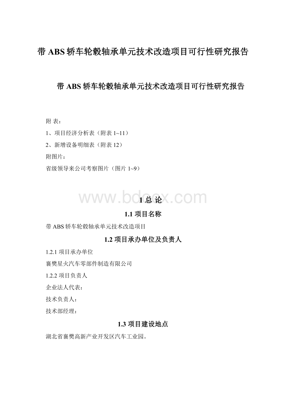 带ABS轿车轮毂轴承单元技术改造项目可行性研究报告.docx