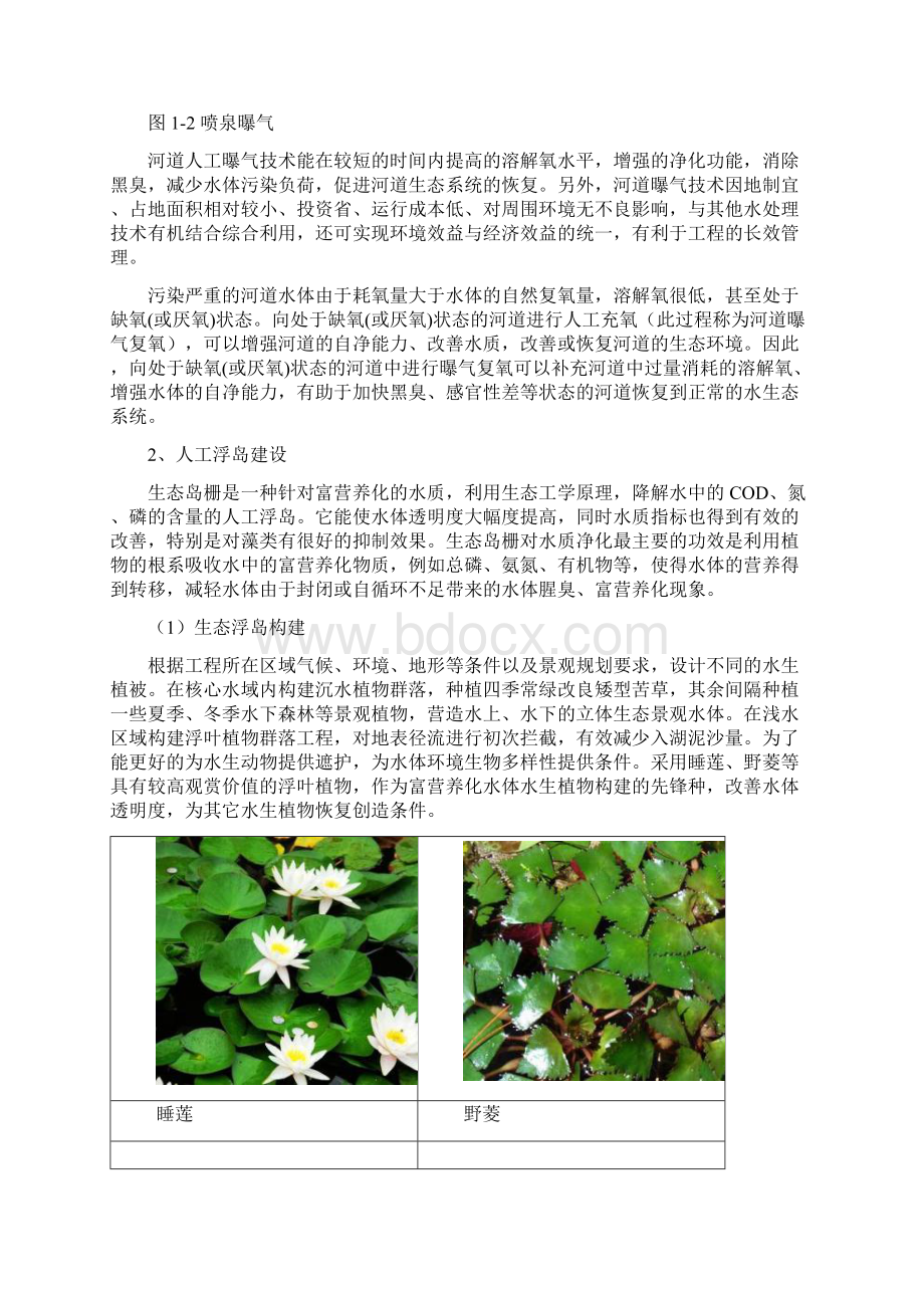 水质维持和提升设施建设方案.docx_第2页