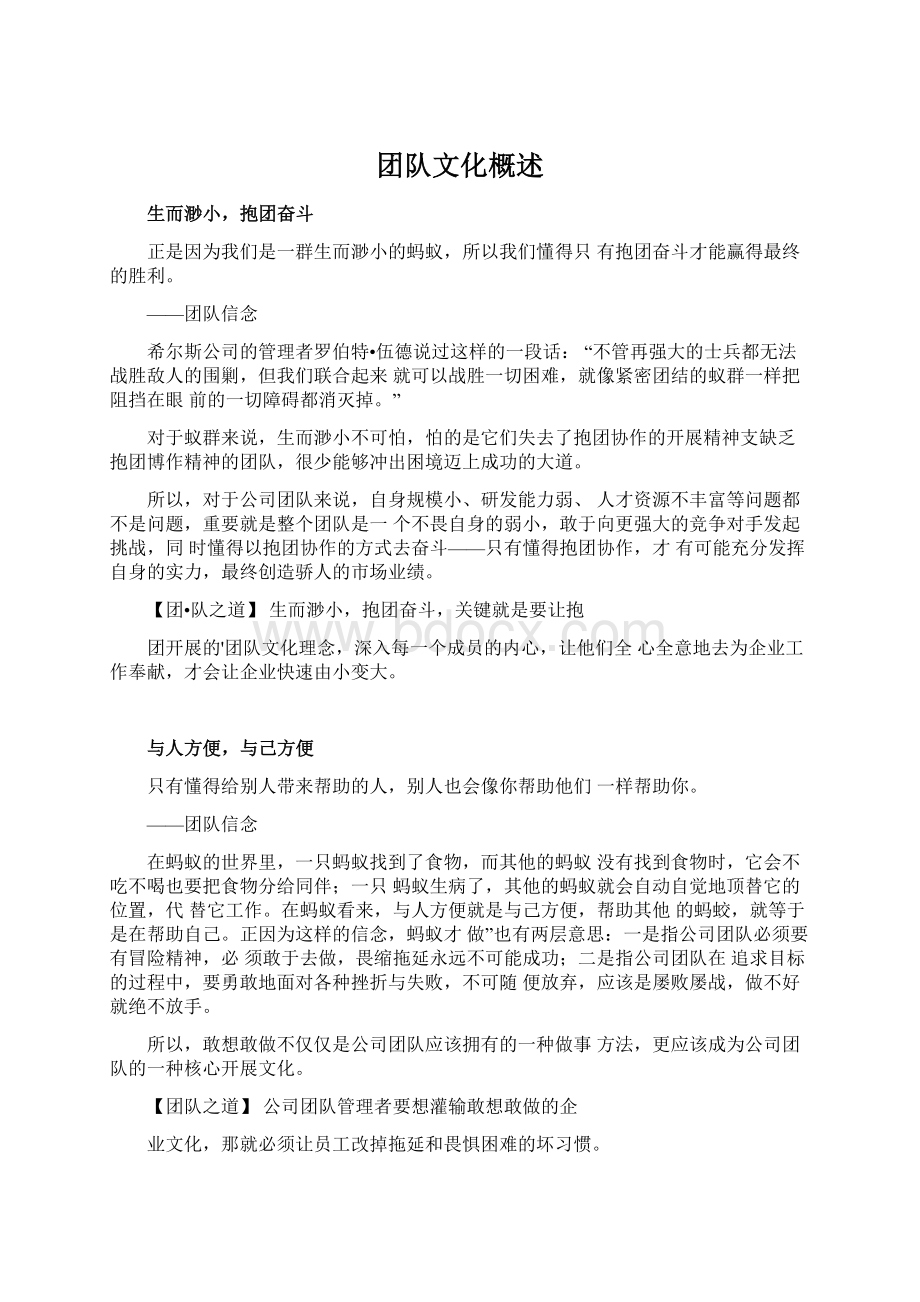 团队文化概述Word格式文档下载.docx