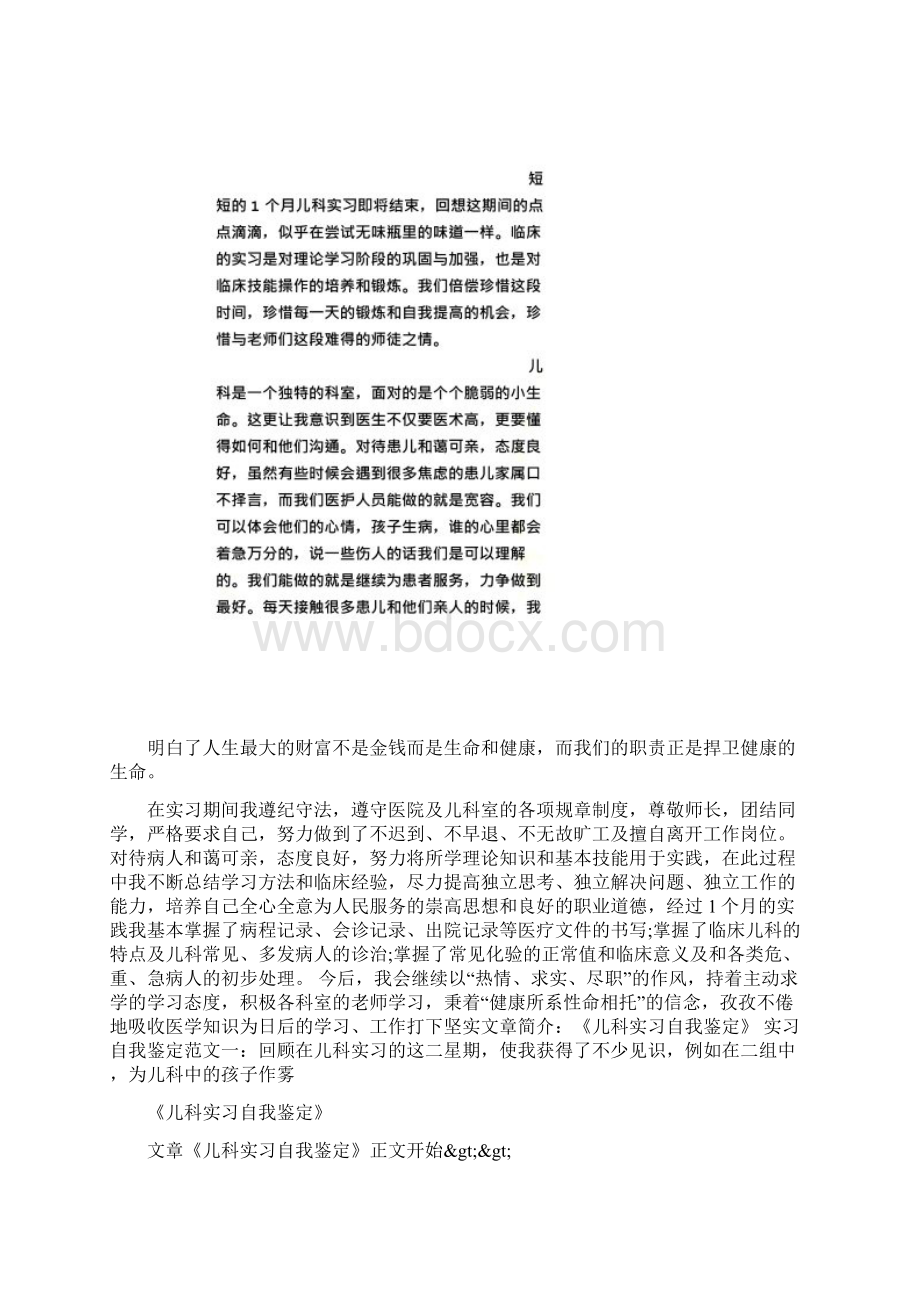 儿科实习生的实习鉴定Word文档格式.docx_第3页