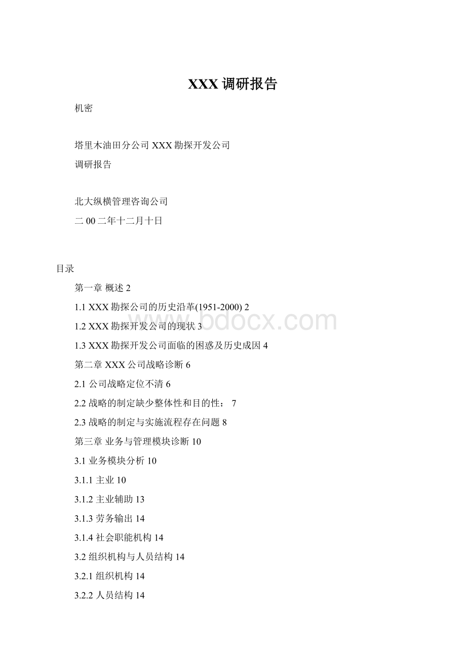 XXX调研报告Word文件下载.docx