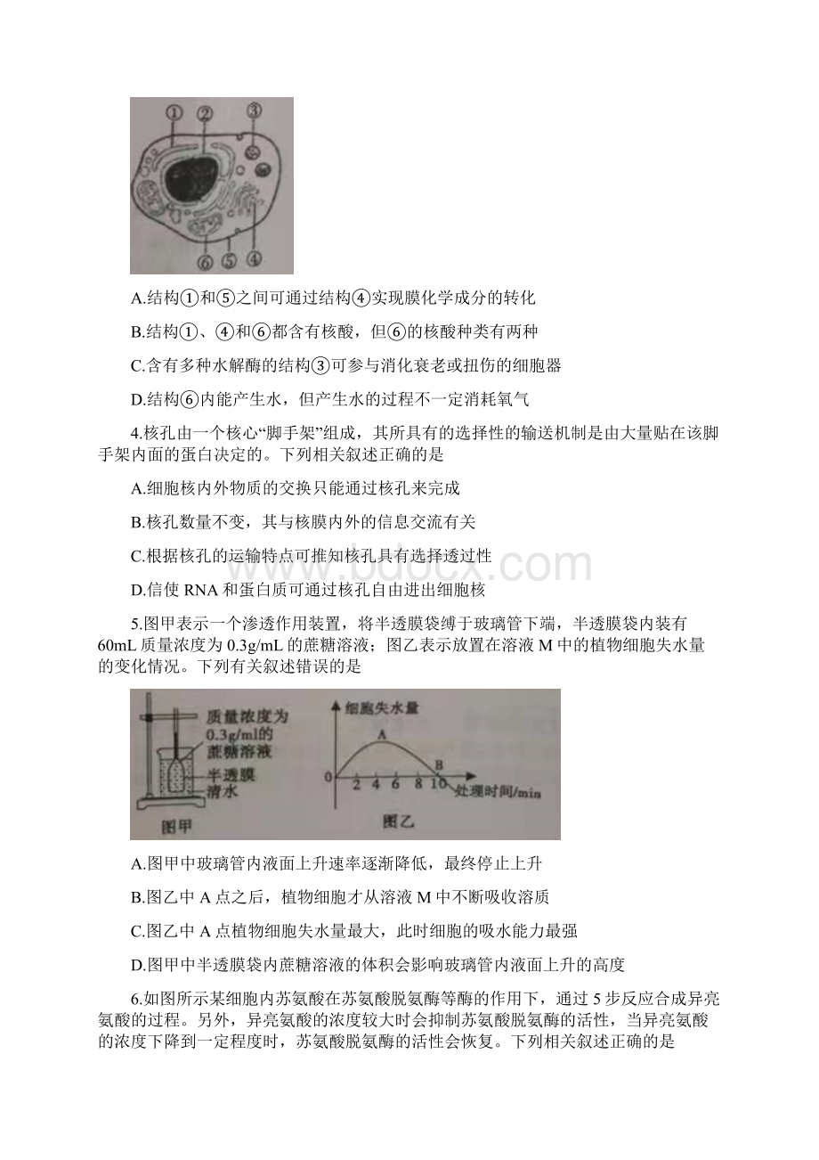 安徽省浮山中学等重点名校届高三生物第一次月考试题Word文档格式.docx_第2页