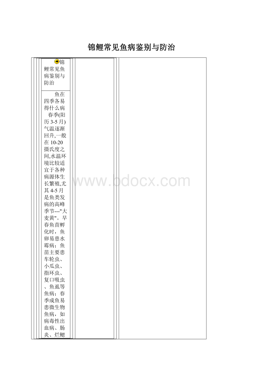 锦鲤常见鱼病鉴别与防治Word下载.docx_第1页