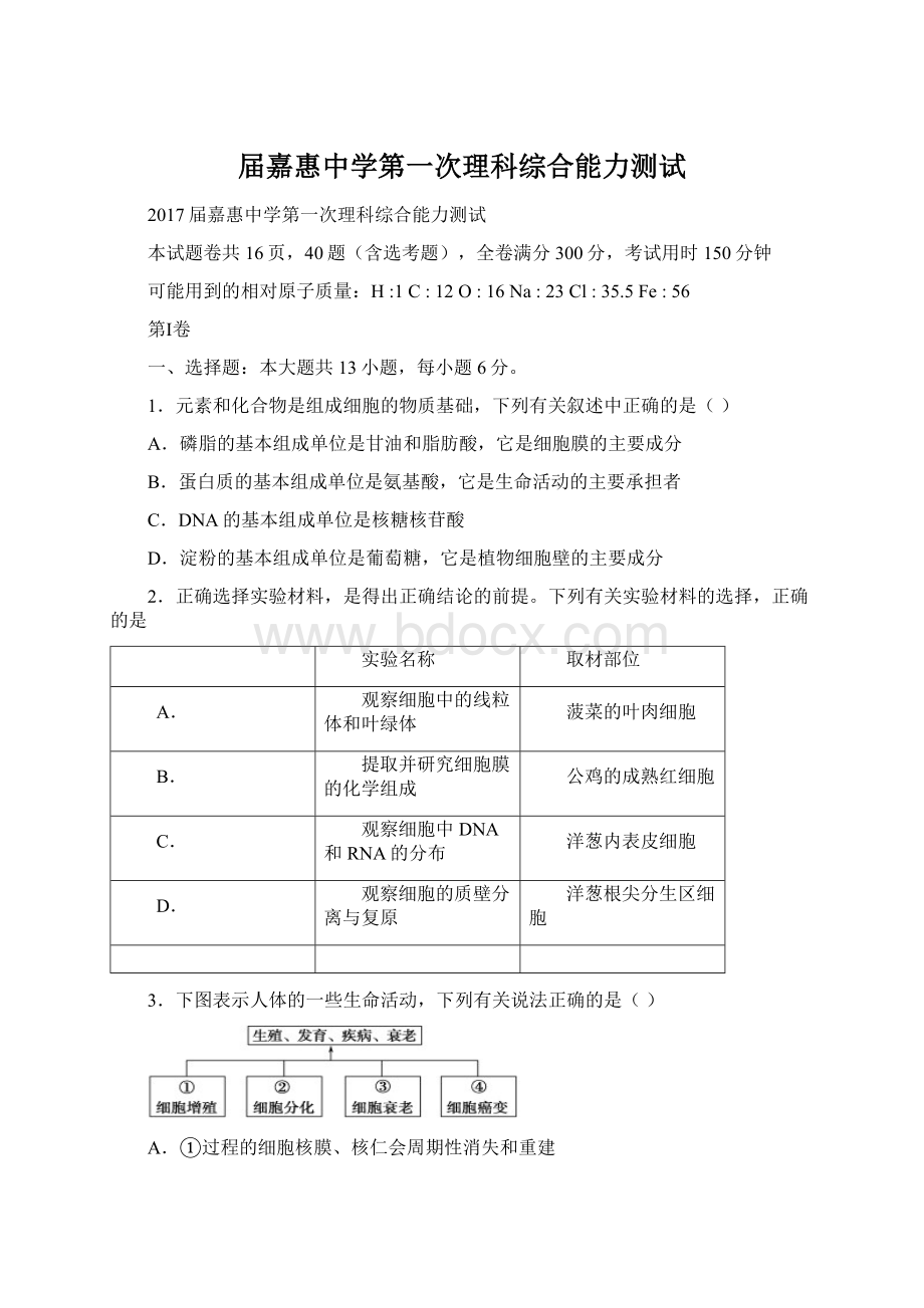 届嘉惠中学第一次理科综合能力测试Word文档格式.docx