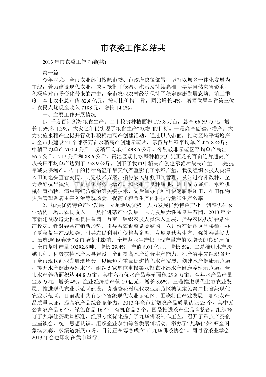 市农委工作总结共文档格式.docx