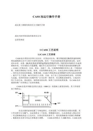 CASS池运行操作手册.docx