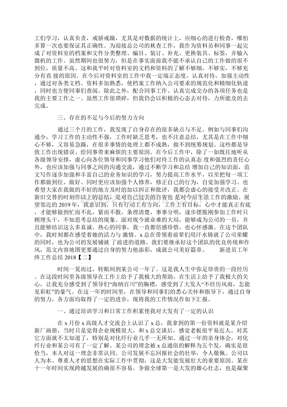 新进员工年终工作总结文档格式.docx_第2页