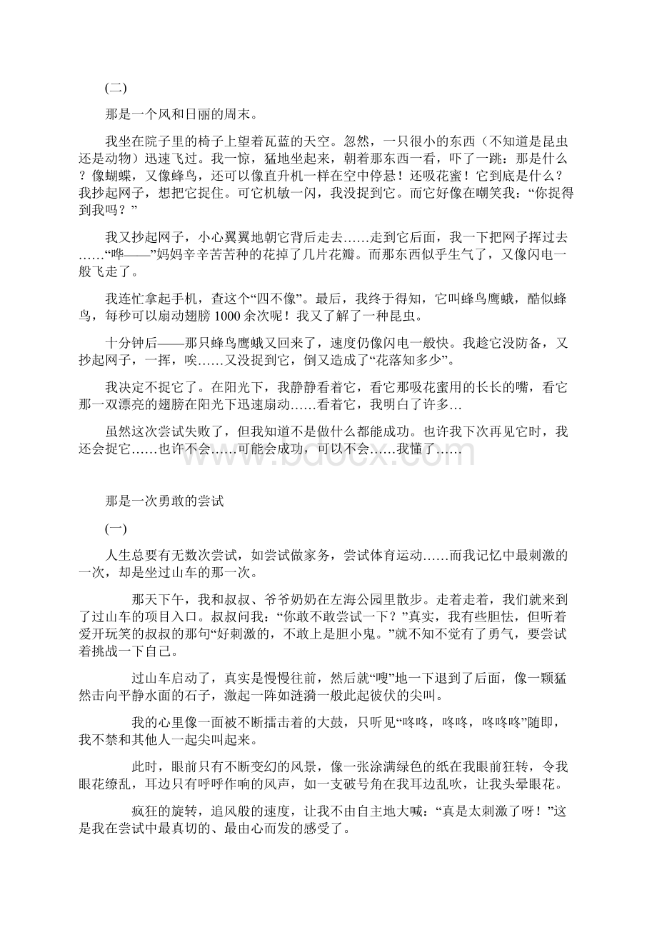 那是一次什么的尝试作文.docx_第2页