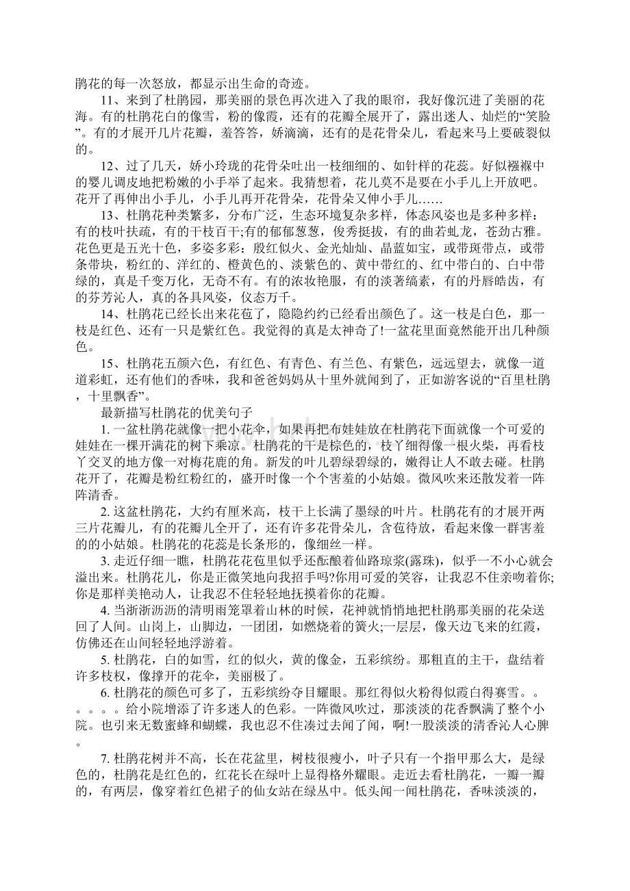 关于杜鹃花的优美句子.docx_第2页