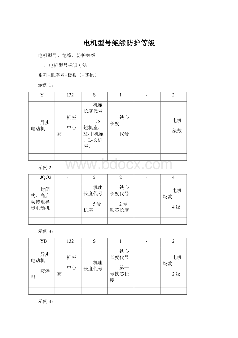 电机型号绝缘防护等级Word格式.docx