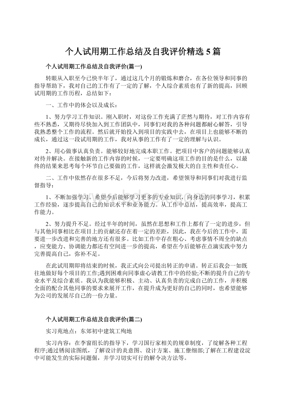 个人试用期工作总结及自我评价精选5篇文档格式.docx