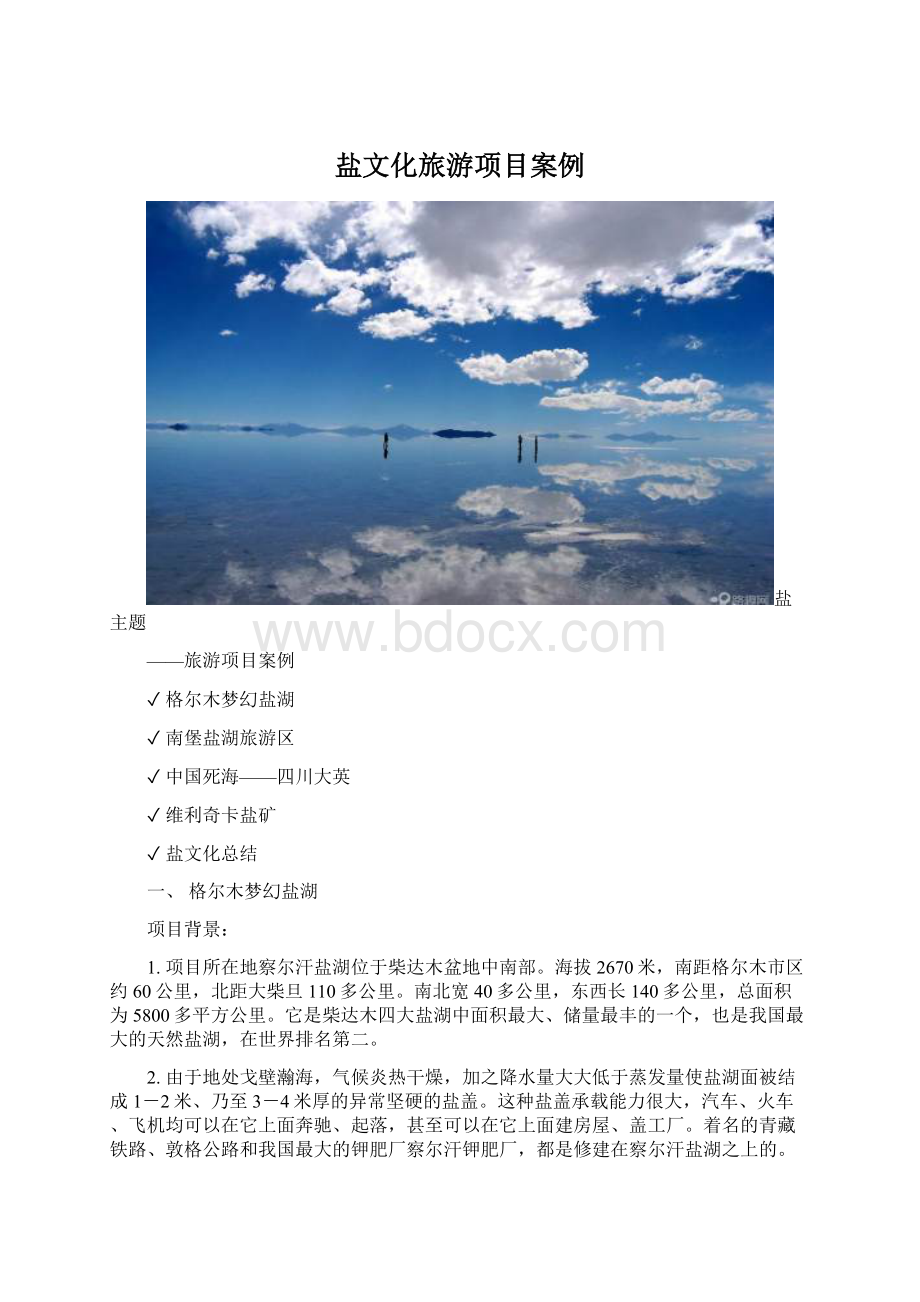 盐文化旅游项目案例.docx