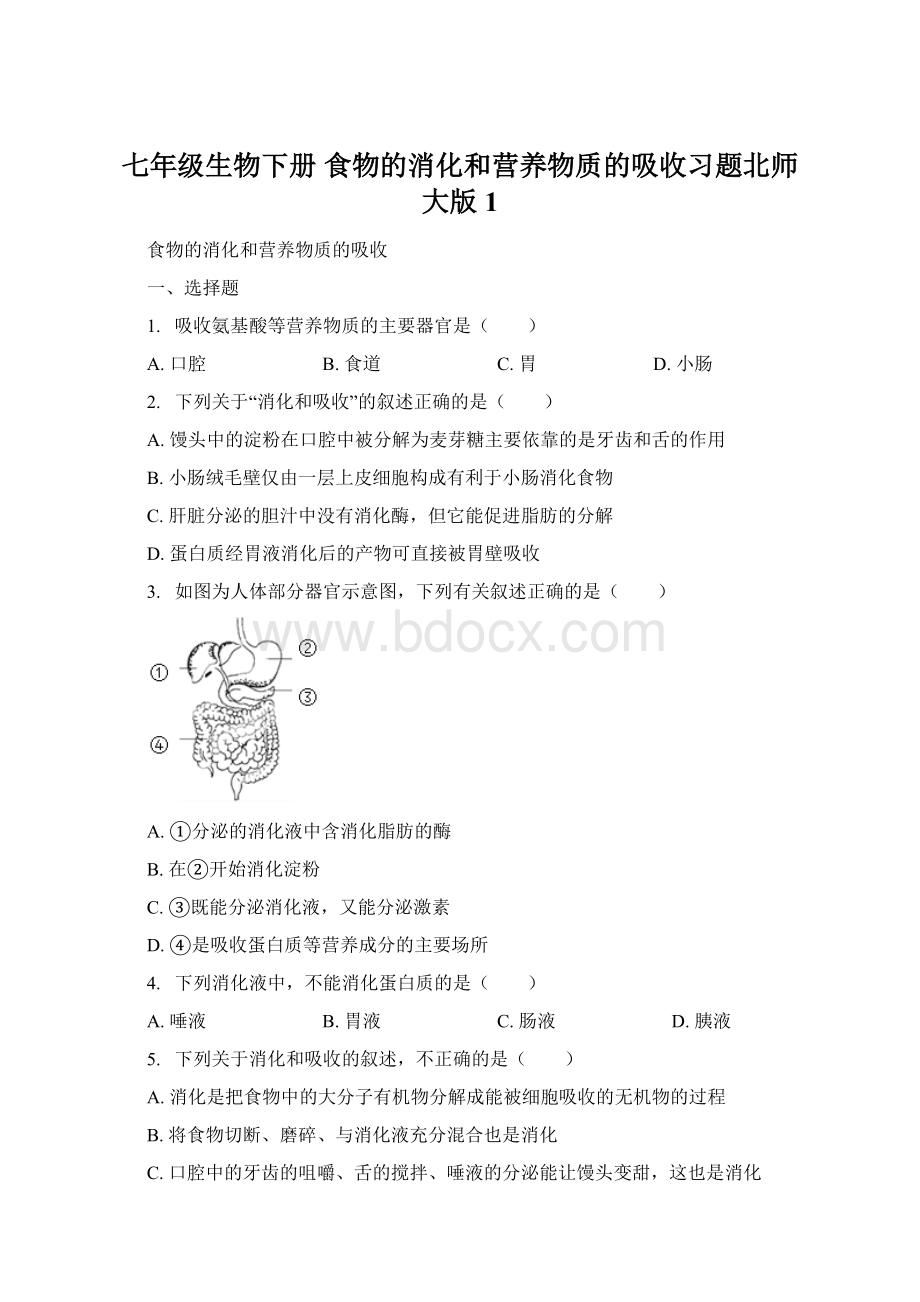 七年级生物下册 食物的消化和营养物质的吸收习题北师大版1文档格式.docx_第1页