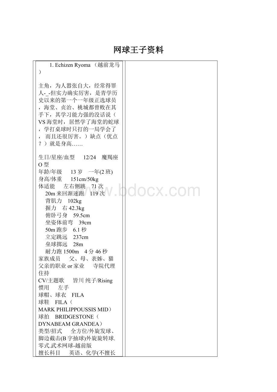 网球王子资料Word下载.docx