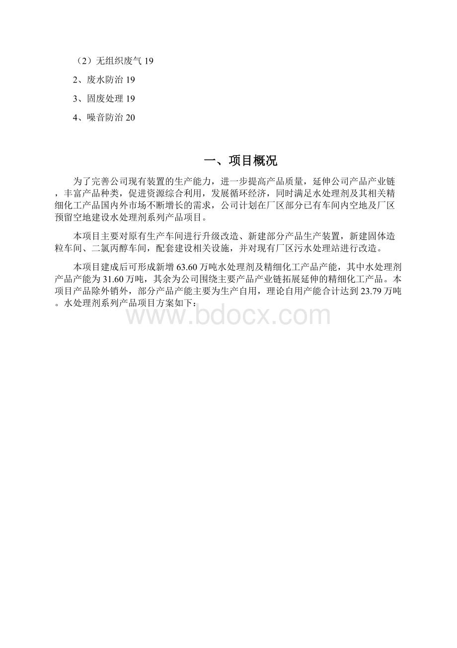 水处理剂项目可行性研究报告.docx_第2页