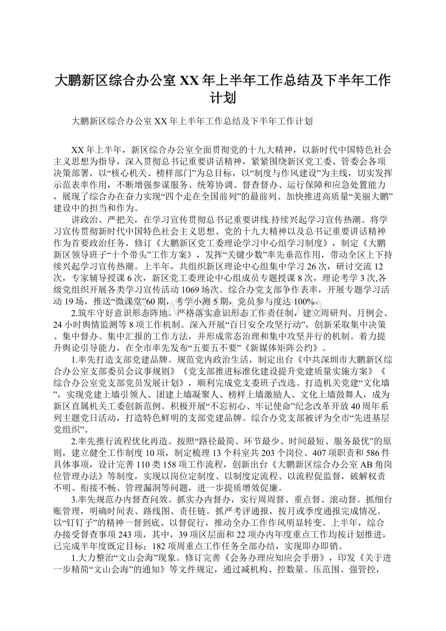 大鹏新区综合办公室XX年上半年工作总结及下半年工作计划.docx