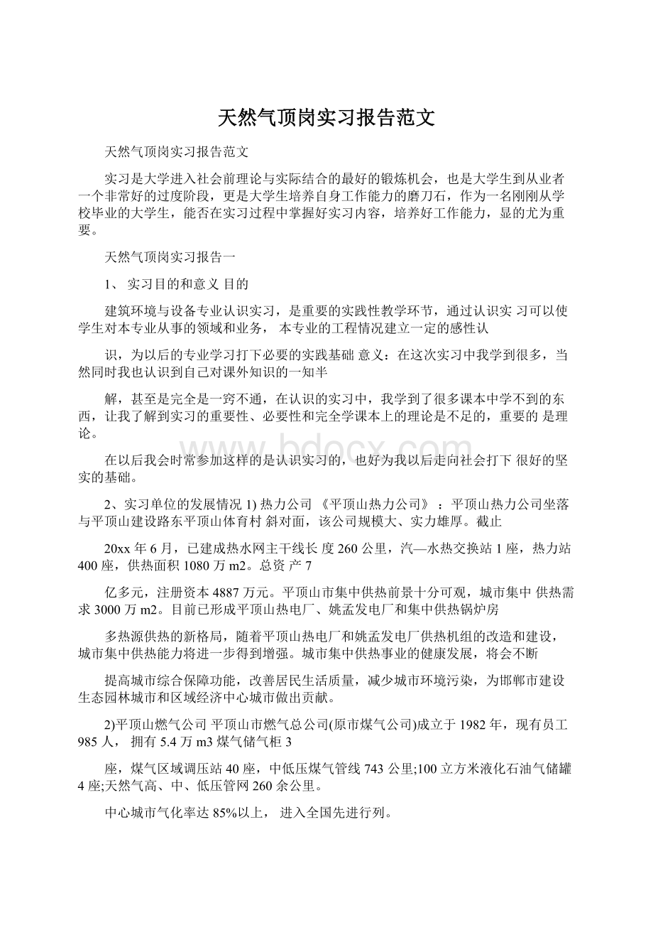 天然气顶岗实习报告范文文档格式.docx