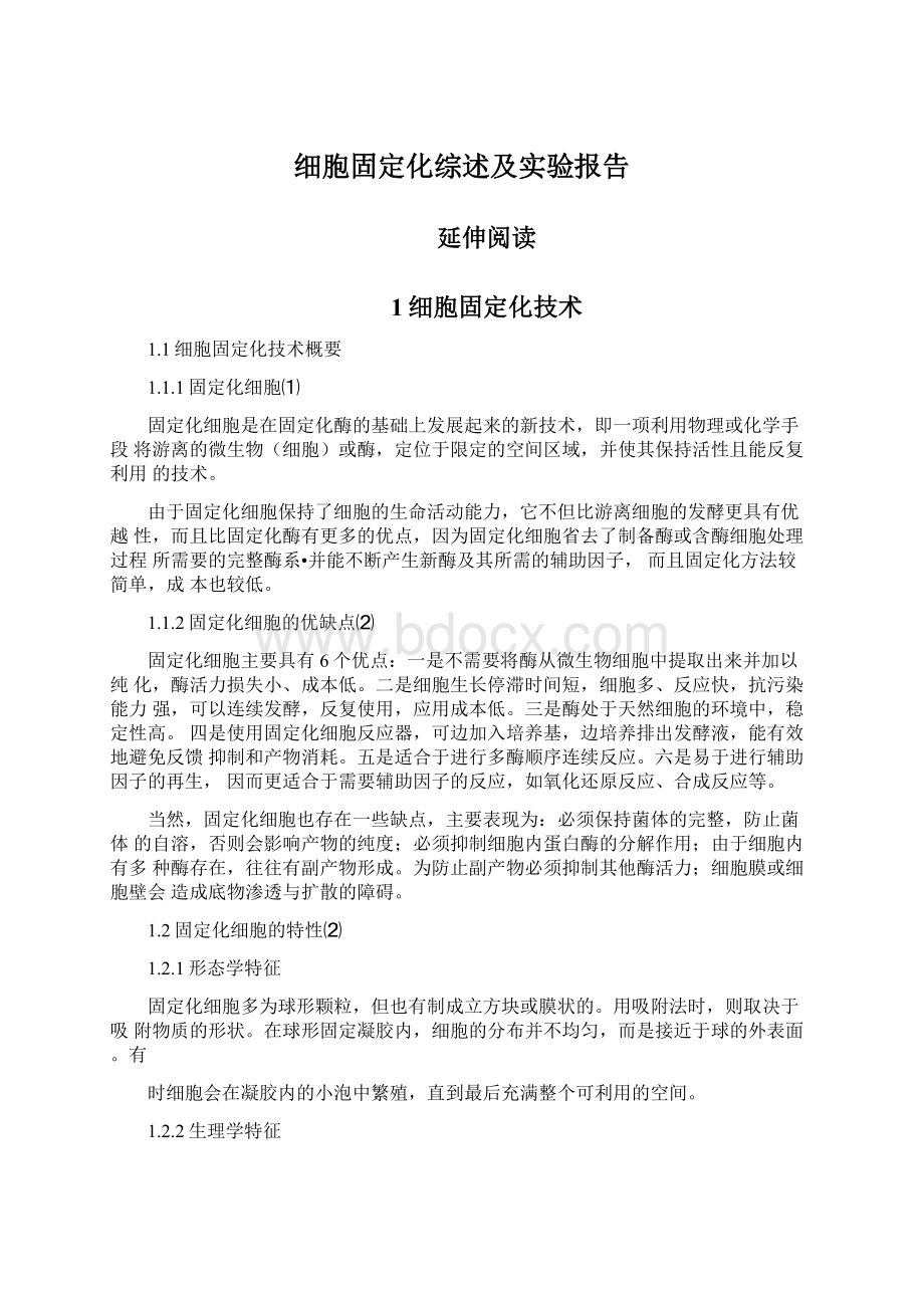 细胞固定化综述及实验报告Word下载.docx