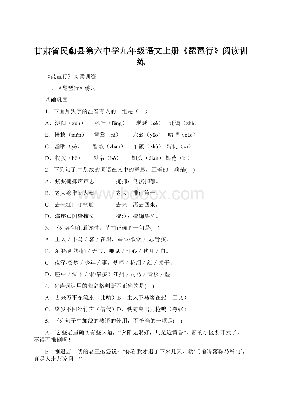 甘肃省民勤县第六中学九年级语文上册《琵琶行》阅读训练.docx